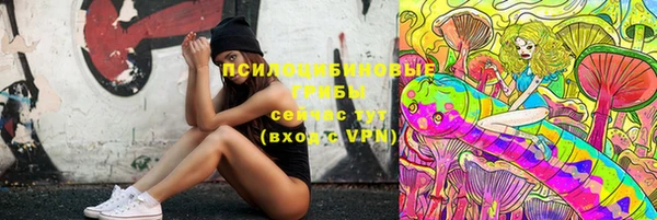 дурь Кинешма