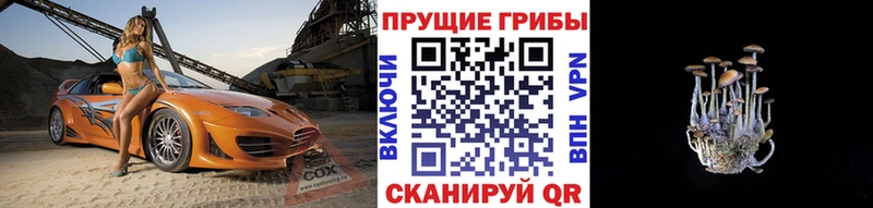 Галлюциногенные грибы Psilocybine cubensis как найти закладки Коммунар