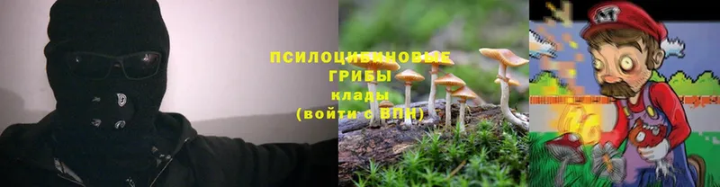 Псилоцибиновые грибы GOLDEN TEACHER  Коммунар 