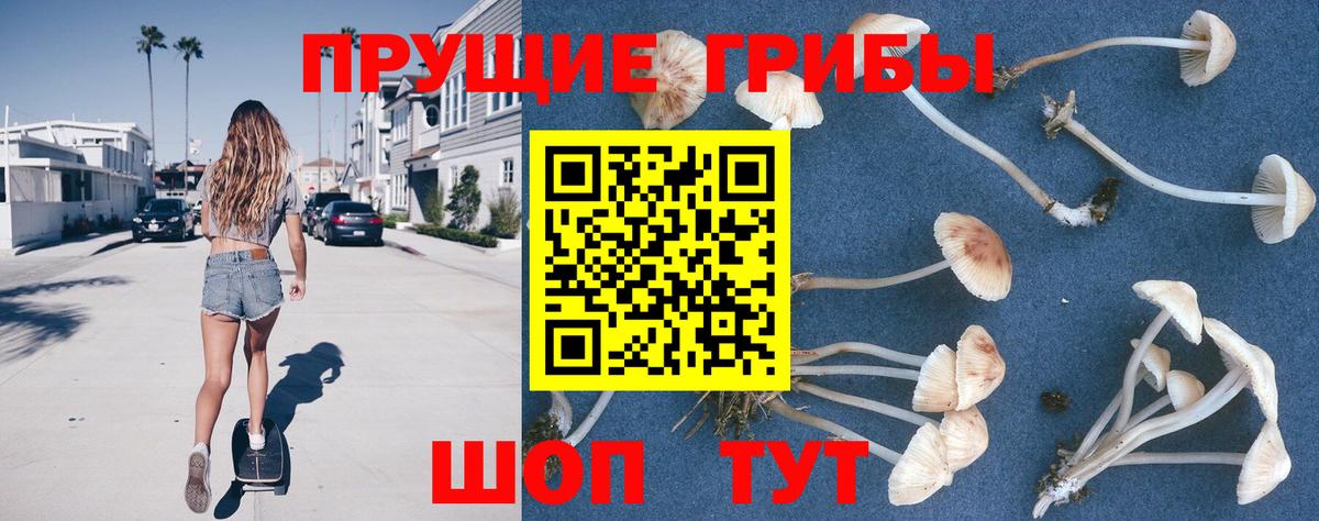Коммунар  Галлюциногенные грибы ЛСД  Вход с VPN 