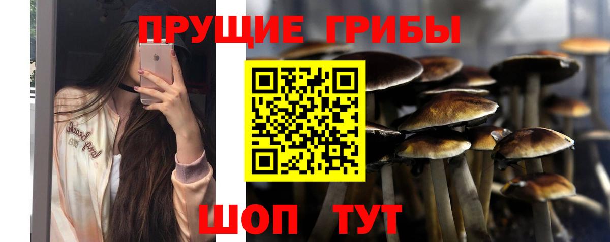 Галлюциногенные грибы ЛСД Коммунар